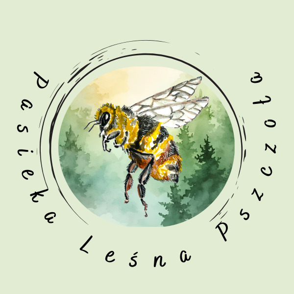 Pasieka Leśna Pszczoła